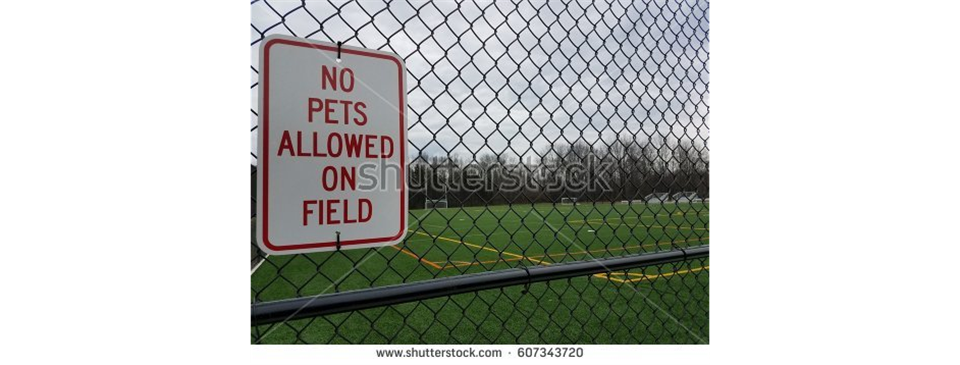 No Pets on the Soccer Field
