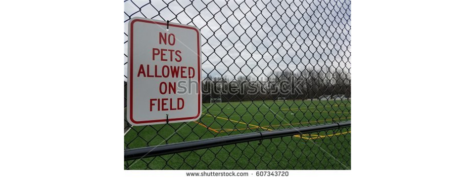 Please No Pets on the Soccer Field